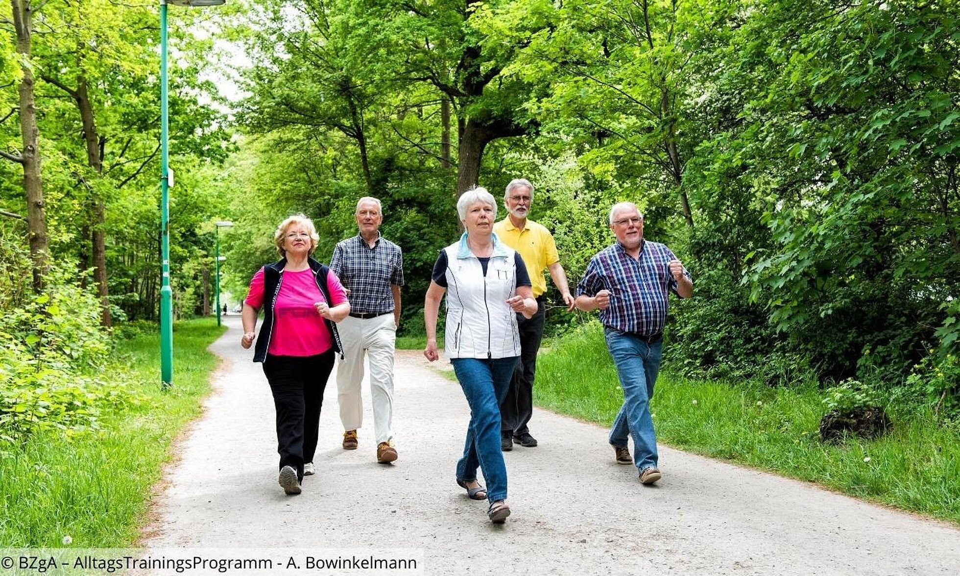 5 ältere Menschen beim Walking