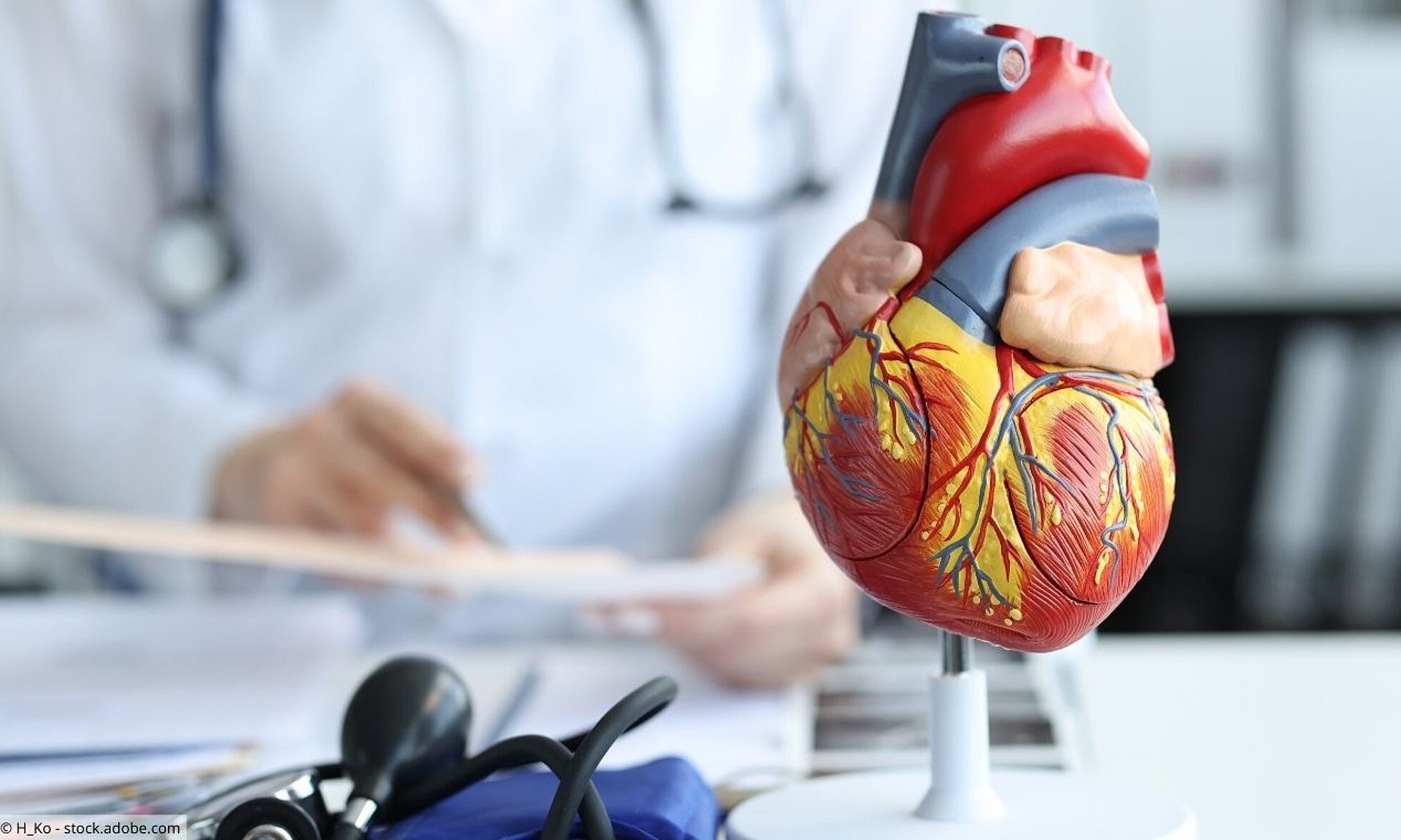 Anatomisches Modell eines Herzens auf dem Schreibtisch eines Arztes