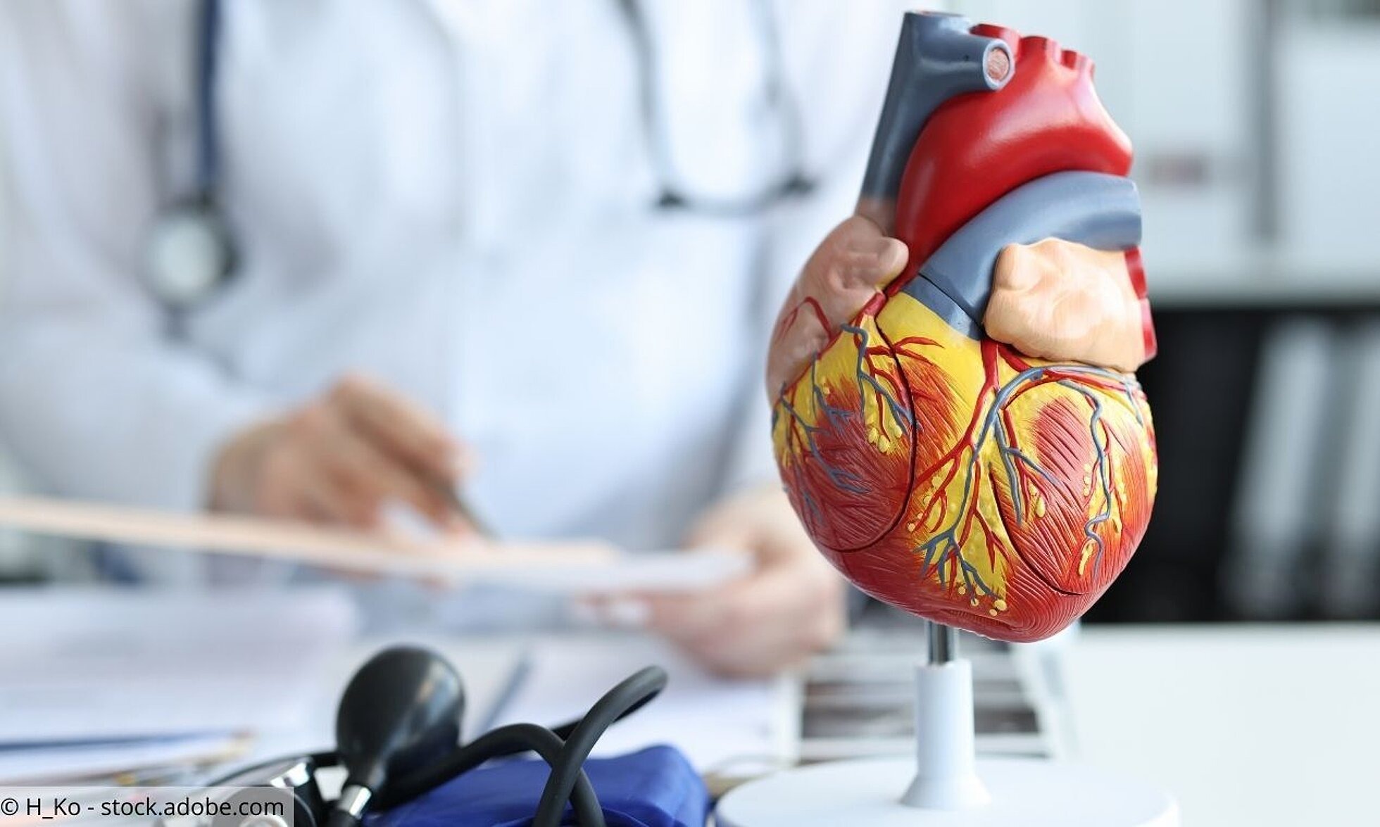 Anatomisches Modell eines Herzens auf dem Schreibtisch eines Arztes